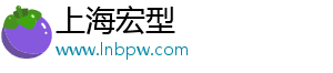 白萝卜做饺子馅和什么搭配最好-上海宏型